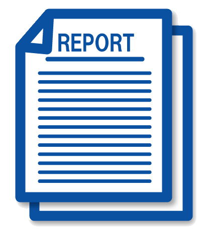 Core Strategy Inspectors Report Report