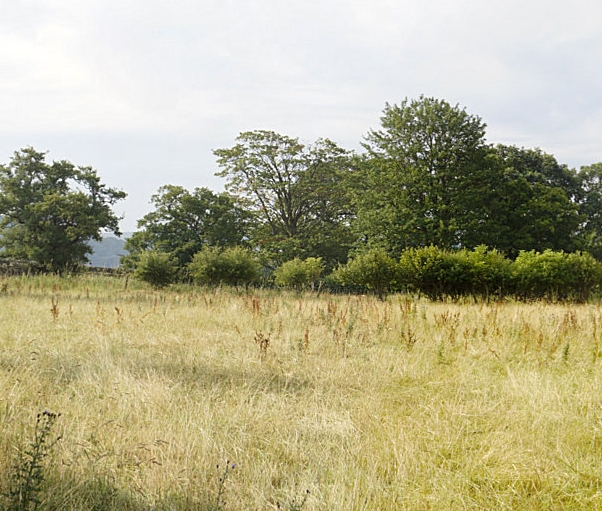 Banklands View 360 deg (#1) #360