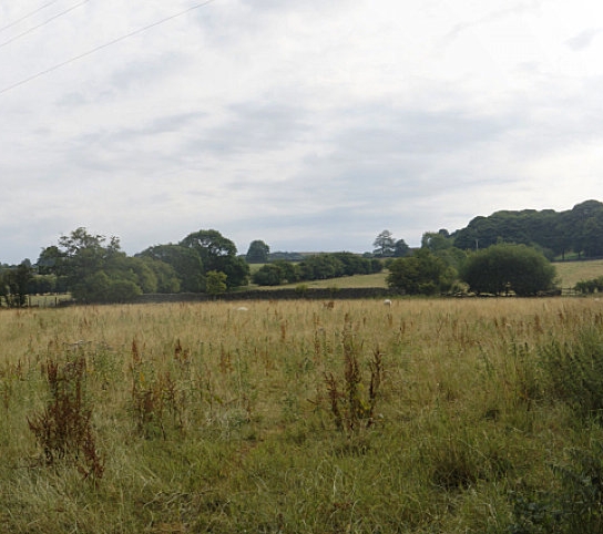 Banklands View panoramic (#3n) #3n