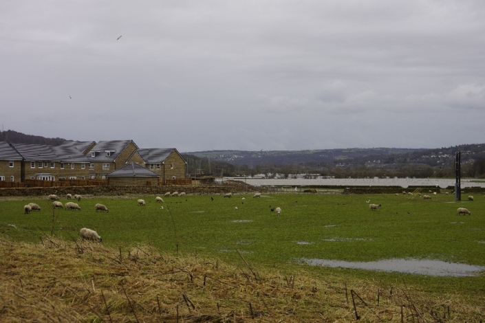 The Barrett estate from Belton Road